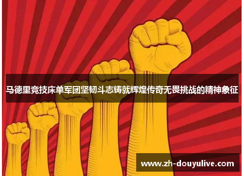 马德里竞技床单军团坚韧斗志铸就辉煌传奇无畏挑战的精神象征